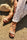 Sandals Step in style