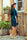 Daydress Numoco
