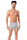 Boxers Teyli