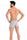 Boxers Teyli