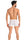 Boxers Teyli