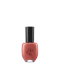 [Tiptoe] Nail Polish 217 Adieu Ete 10g